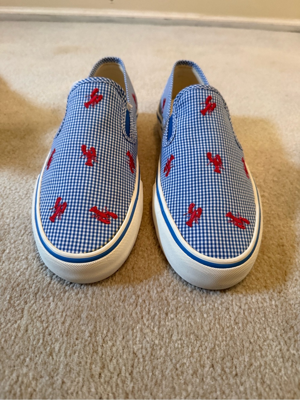 Polo by Ralph Lauren Blue Gingham Slip-On Sneakers with Red Embroidery